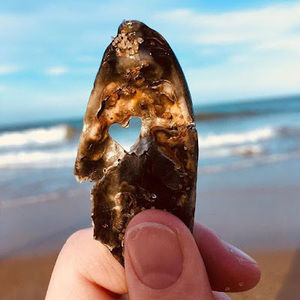 Meet your Posher, Lea